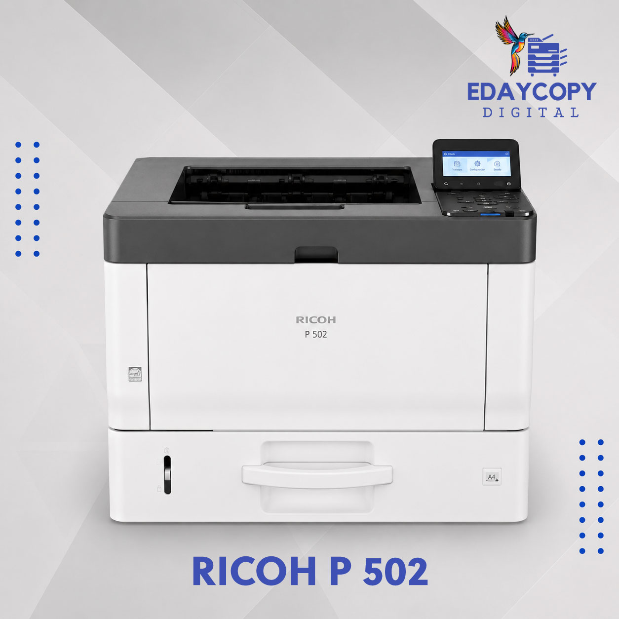 Ricoh P 502